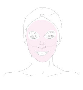 rostro Stabilizing Cleansing Mask